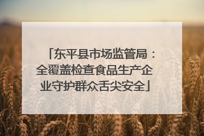 东平县市场监管局：全覆盖检查食品生产企业守护群众舌尖安全